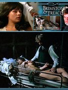 Hamilton Suzanna nude 33