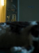 Hannah Herzsprung nude 1