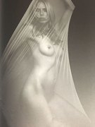 Heidi Klum nude 13