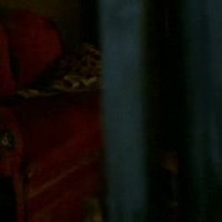 Helena Af Sandberg Videos