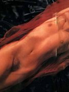 Hilde Van-Mieghem nude 2