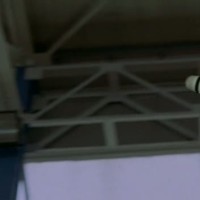 Holly Davidson Videos