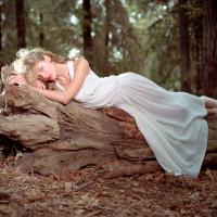 James King Pictures