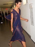 Janiece Dilone nude 1