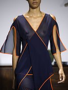 Janiece Dilone nude 2