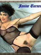Janine Turner nude 25