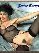Janine Turner nude 44