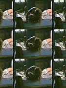 Jennifer Runyon nude 1