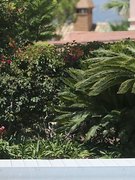 Jessica Shears nude 5