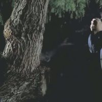 Julian Berlin Videos