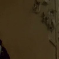 Julie Michaels Videos