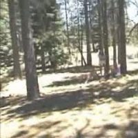 Juliet Cariaga Videos