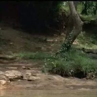 Kate Groombridge Videos