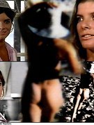 Katherine Ross nude 0