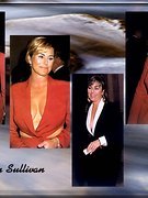 Kathleen Sullivan nude 0