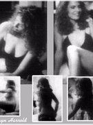 Kathryn Harrold nude 4