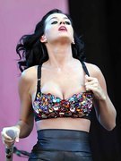 Katy Perry nude 168