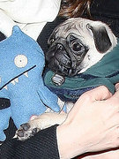 Kelly Brook nude 384