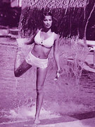 Laetitia Casta nude 28