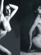 Laetitia Casta nude 324