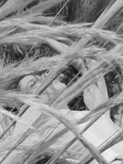 Liliana Camba nude 8