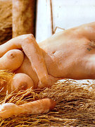 Linda Der Van-Pluym nude 2