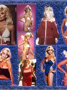 Loni Anderson nude 1