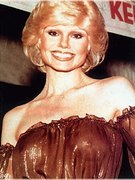Loni Anderson nude 3