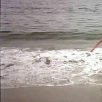 Louise Golding Videos