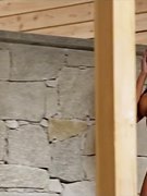 Madalina Diana Ghenea nude 4