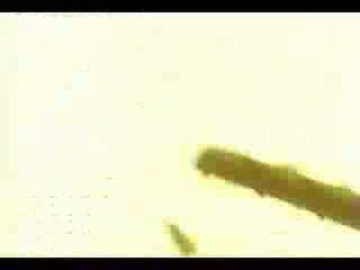 Madonna Sex Video