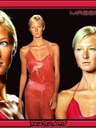 Maggie Rizer nude 28