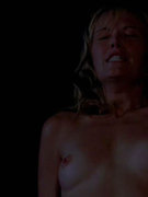Malin Akerman nude 64