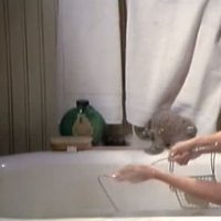 Marie France Pisier Videos