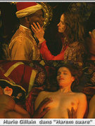 Marie Gillain nude 9