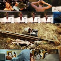 Marie Josee Croze Pictures