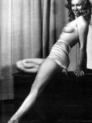Marilyn Monroe nude 100
