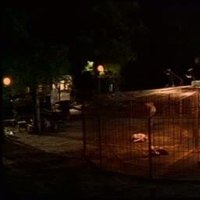 Marsha Dietlein Videos