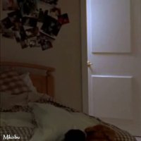 Martha Higareda Videos