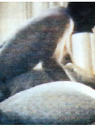 Mary Mcdonnell nude 0