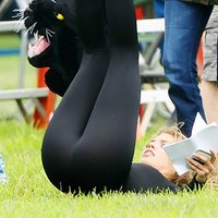 Annalynne McCord hot and flexible body