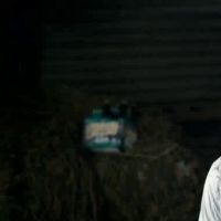 Meredith Giangrande Videos