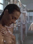 Michelle Bauer nude 101