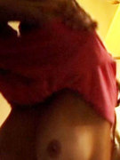 Michelle Bauer nude 133