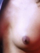 Michelle Bauer nude 62