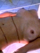 Michelle Bauer nude 72