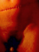 Michelle Bauer nude 81