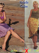 Michelle Collins nude 0