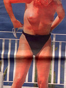 Michelle Collins nude 1