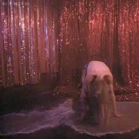 Michelle Mccormick Videos